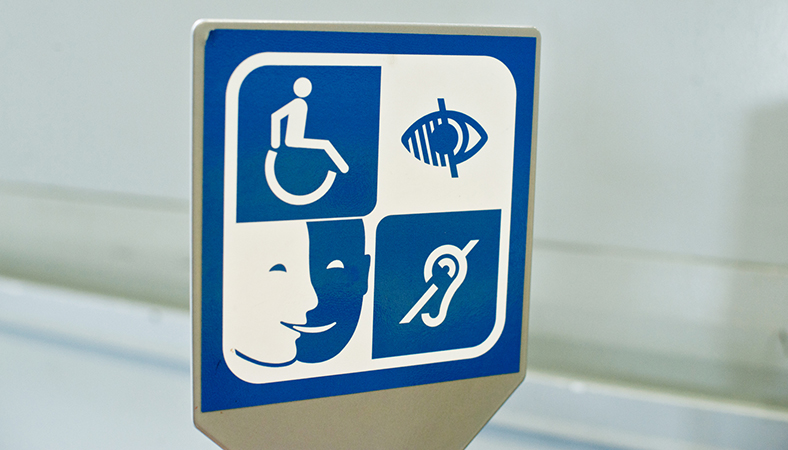 L'image sélectionnée. A Canadian Roadmap for Accessibility Standards