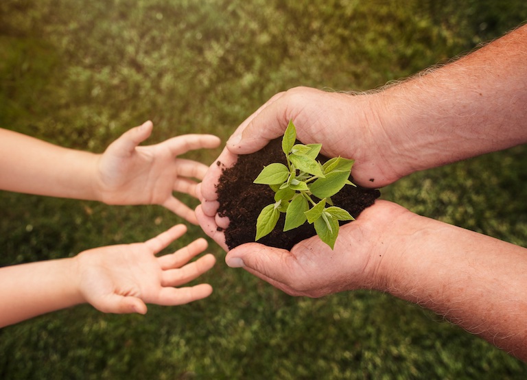 Senior hands giving a small plant to a child