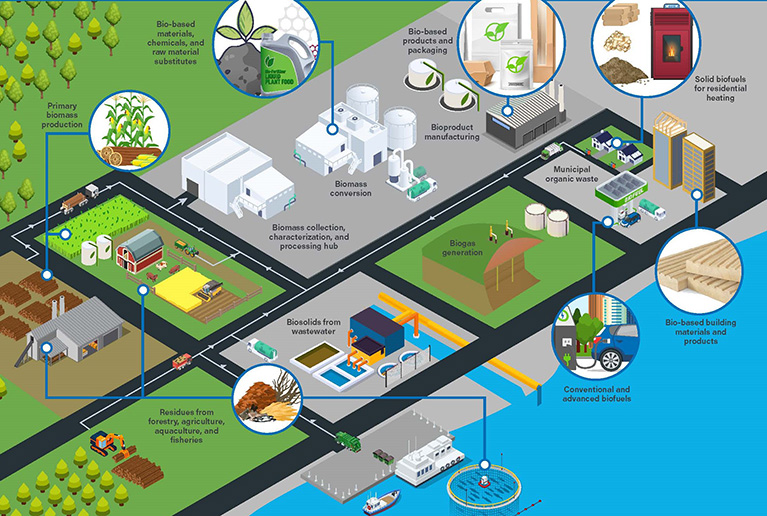 Featured Image. An illustration of the bioeconomy landscape