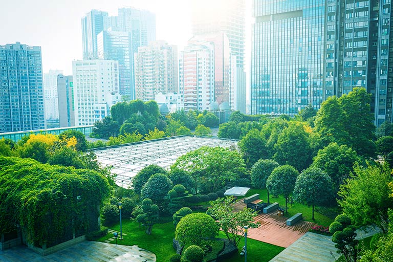 Featured Image. An urban park with modern highrises in the background