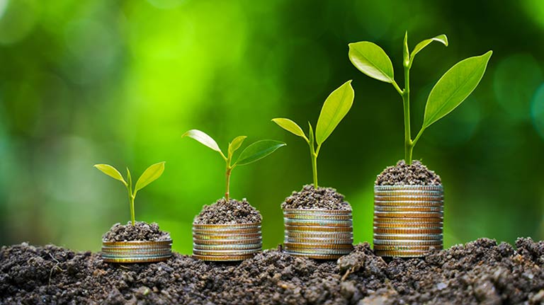 L'image sélectionnée. Plants growing from the soil and coins illustrating the bioeconomy concept