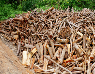 Tas de résidus de bois et arbres verts en arrière-plan