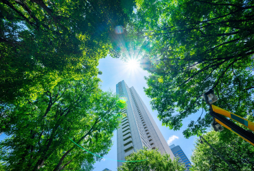 A high-rise building surrounded by trees